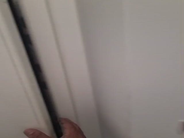 No Flash found